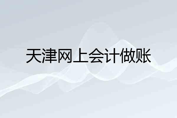 天津网上会计做账