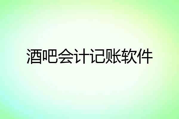 酒吧会计记账软件