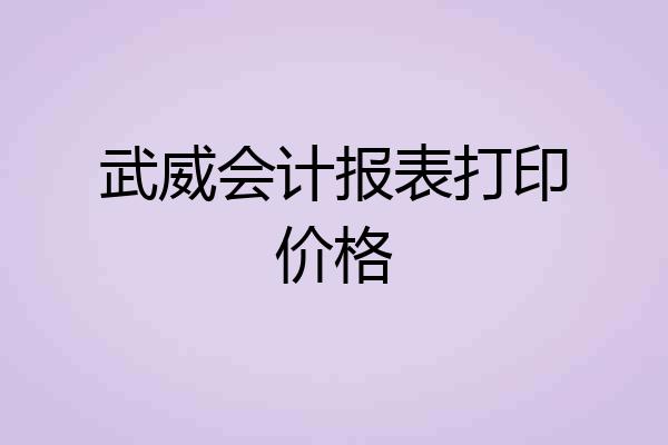 武威会计报表打印价格