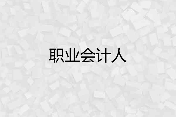 职业会计人