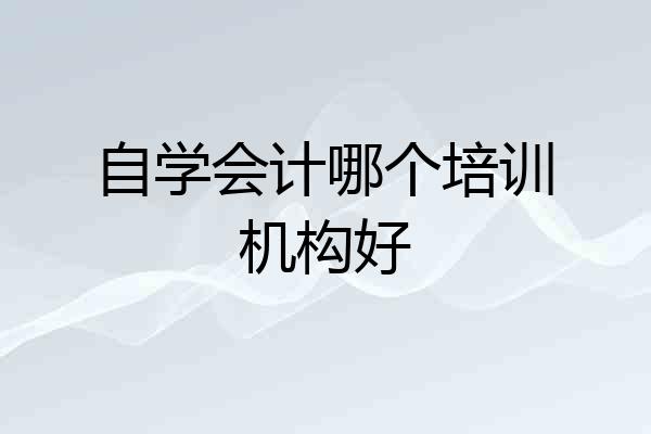 自学会计哪个培训机构好