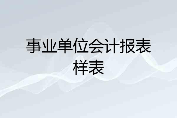 事业单位会计报表样表