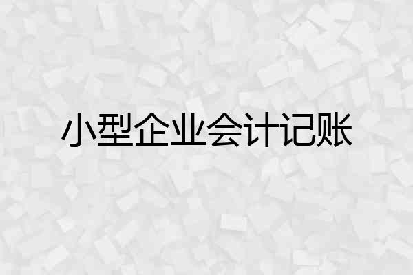 小型企业会计记账