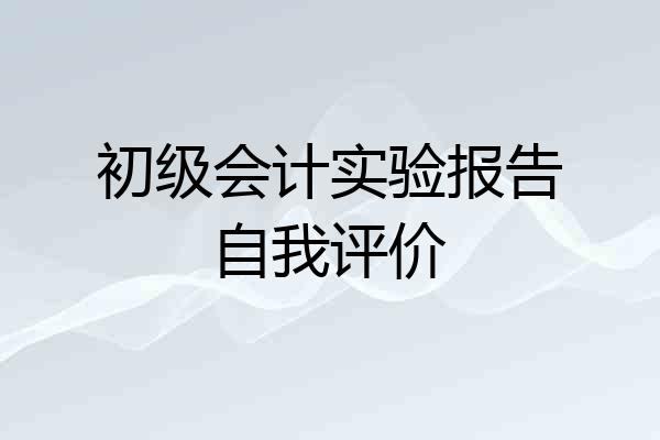 初级会计实验报告自我评价