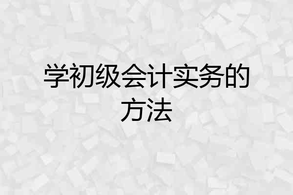 学初级会计实务的方法