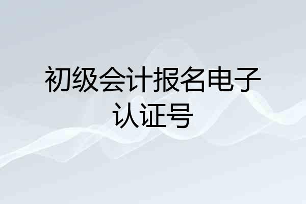 初级会计报名电子认证号