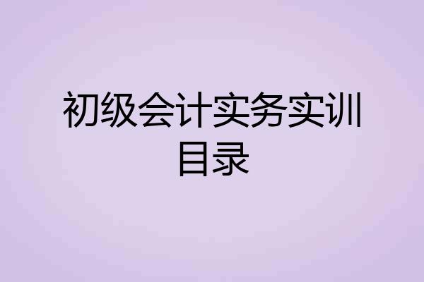 初级会计实务实训目录