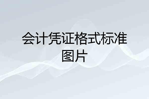 会计凭证格式标准图片
