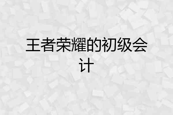 王者荣耀的初级会计