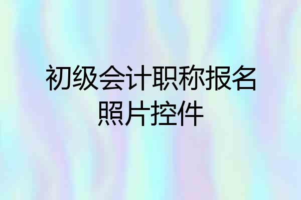 初级会计职称报名照片控件
