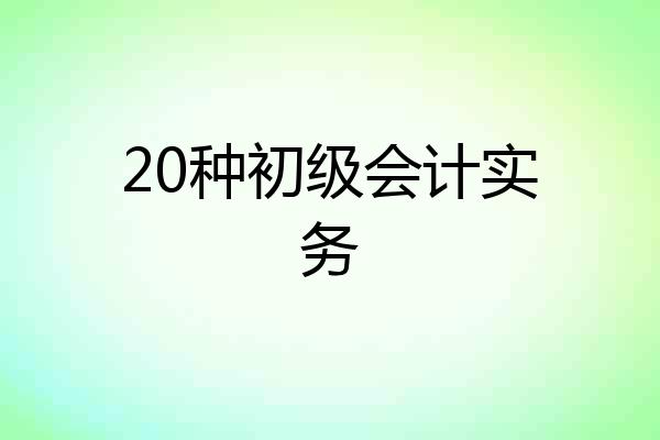 20种初级会计实务