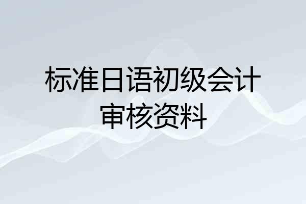 标准日语初级会计审核资料