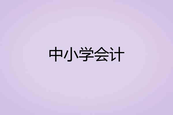 中小学会计