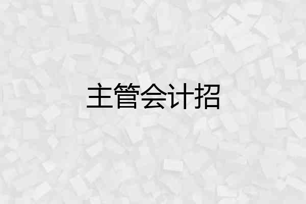 主管会计招