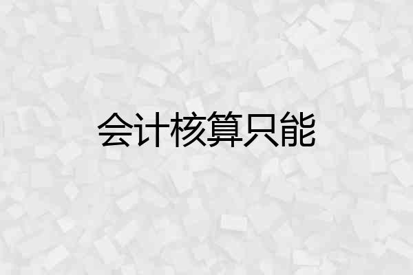 会计核算只能