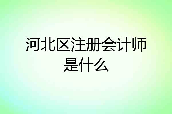 河北区注册会计师是什么
