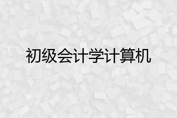 初级会计学计算机