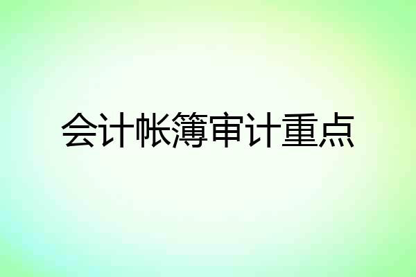 会计帐簿审计重点