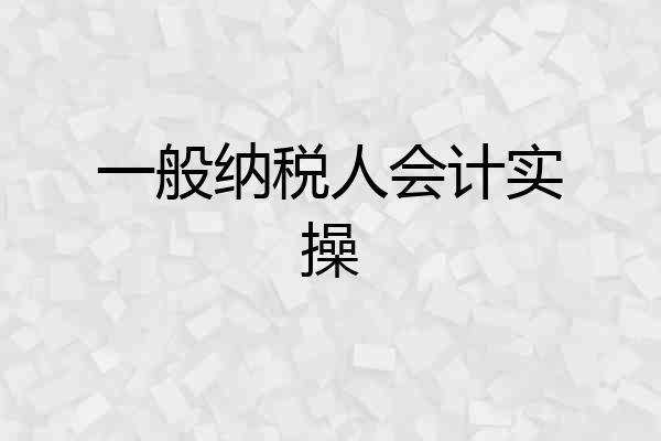 一般纳税人会计实操