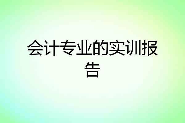 会计专业的实训报告