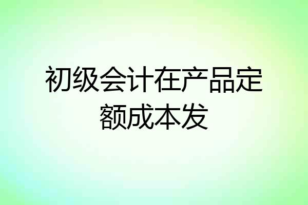初级会计在产品定额成本发