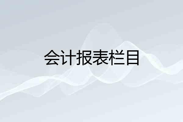 会计报表栏目