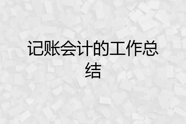 记账会计的工作总结