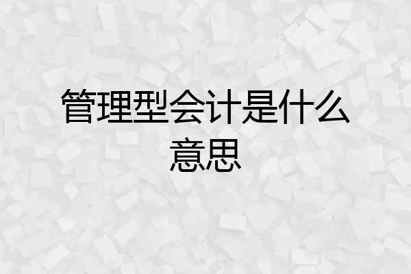 管理型会计是什么意思