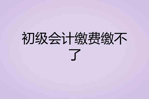 初级会计缴费缴不了