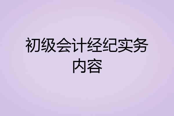 初级会计经纪实务内容