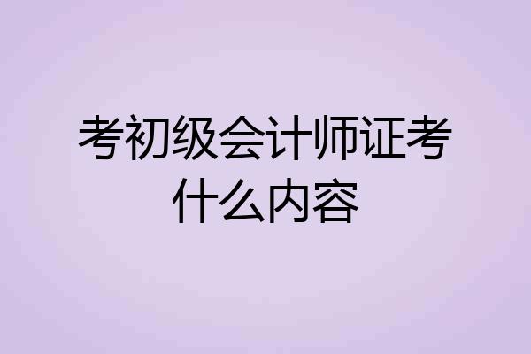 考初级会计师证考什么内容