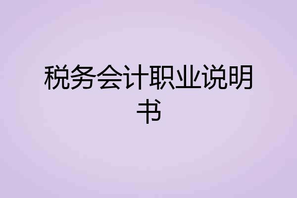税务会计职业说明书