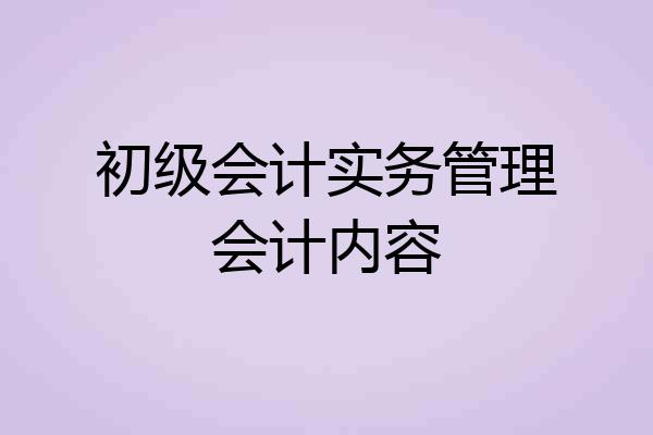 初级会计实务管理会计内容