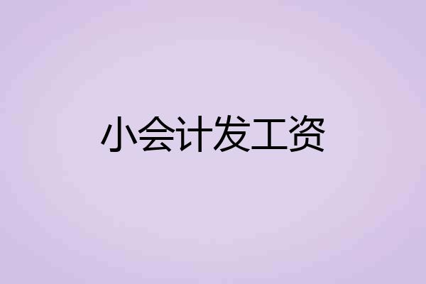 小会计发工资
