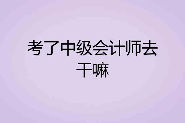 考了中级会计师去干嘛