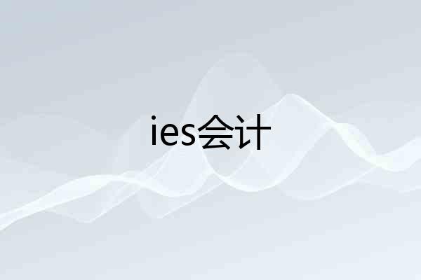 ies会计