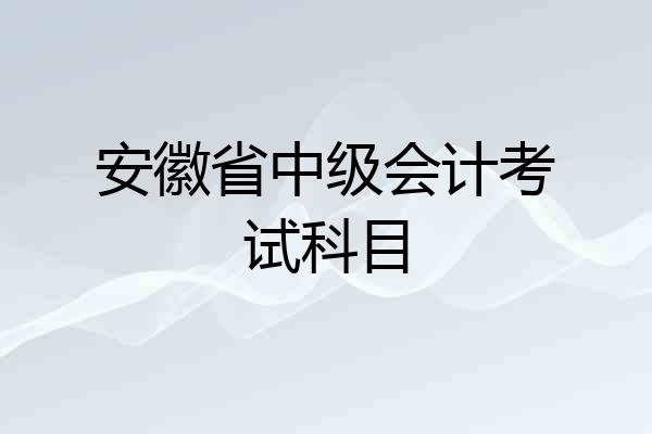 安徽省中级会计考试科目