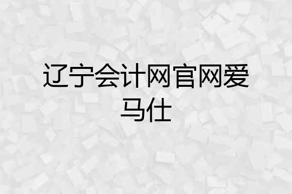 辽宁会计网官网爱马仕