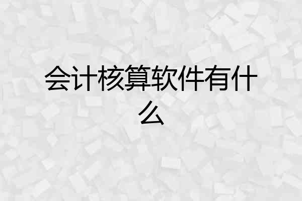 会计核算软件有什么