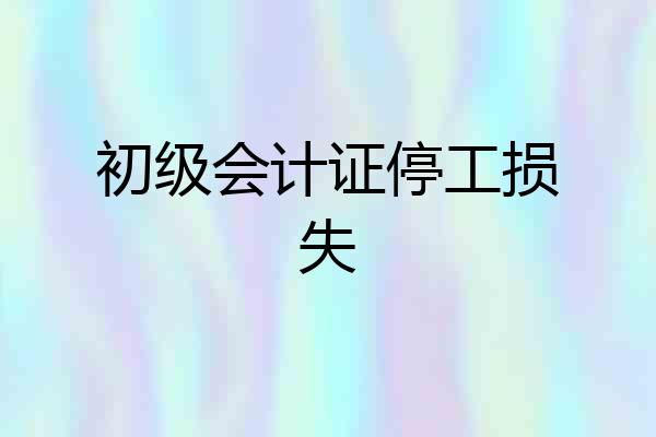 初级会计证停工损失