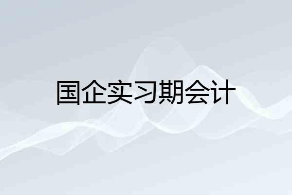 国企实习期会计