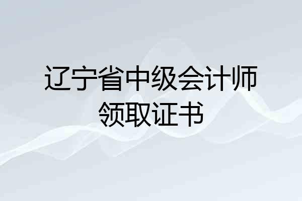辽宁省中级会计师领取证书