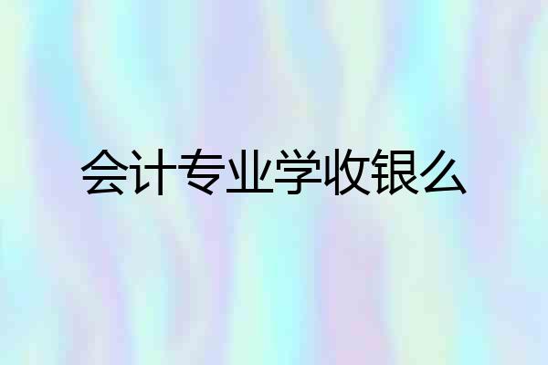 会计专业学收银么