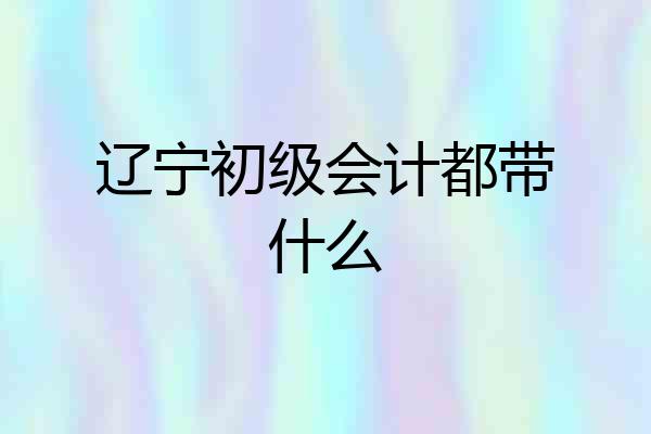 辽宁初级会计都带什么