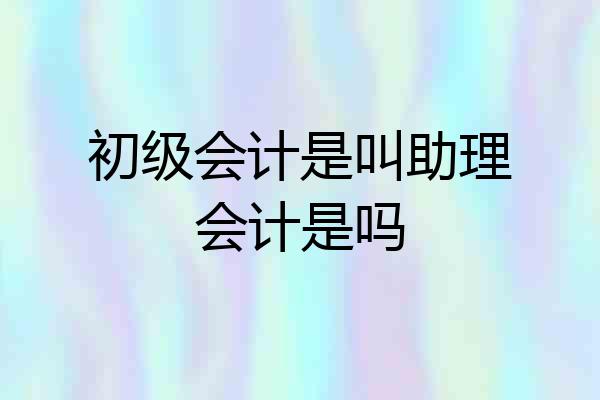 初级会计是叫助理会计是吗
