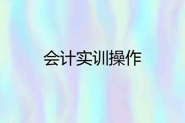 会计实训操作