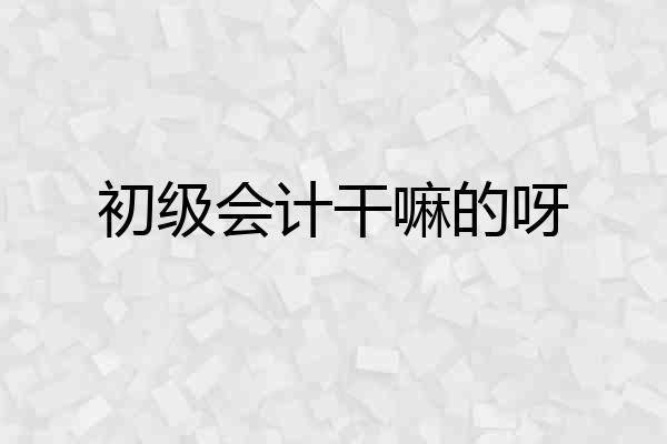 初级会计干嘛的呀