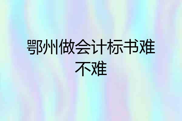 鄂州做会计标书难不难