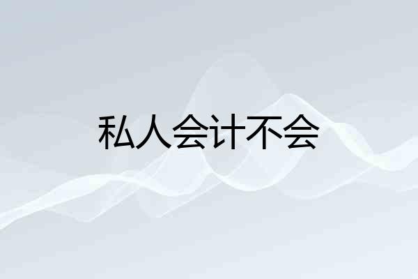 私人会计不会