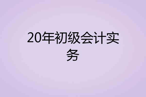 20年初级会计实务